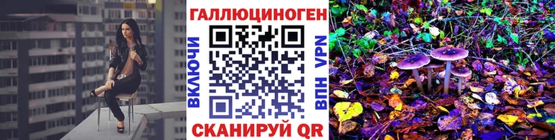 Псилоцибиновые грибы Psilocybine cubensis  Краснослободск 